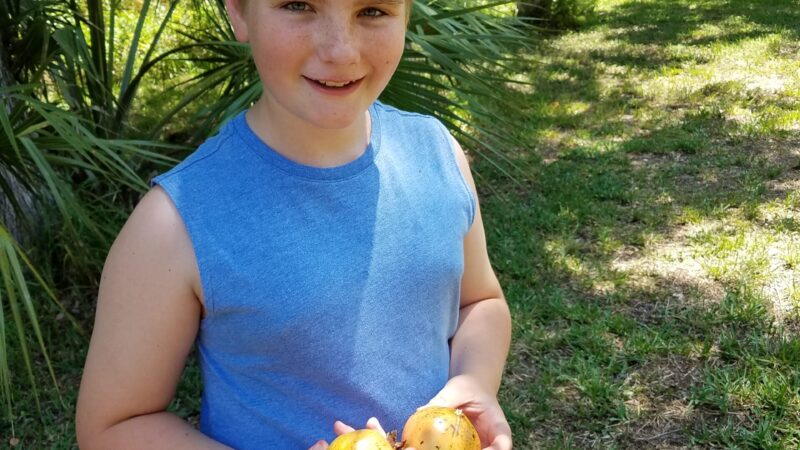 The Screen – Free Quarantine – Day 23: Homeschool Mom Tip #422 – Play hide and seek with kids to steal free time for yourself